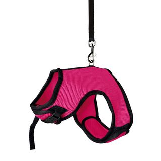 Поводок + шлея м яка для великого кролика