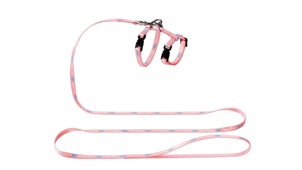 კატის საყელოები და საბელები