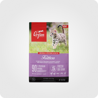 ორიჟენი კნუტი Kitten 1.8 კგ