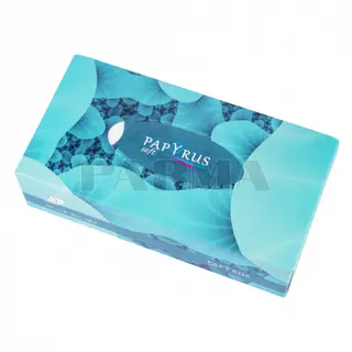 Անձեռոցիկ «Papyrus Soft» եռաշերտ 70հատ