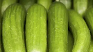 შუშა კიტრი პლანტა 500გრ