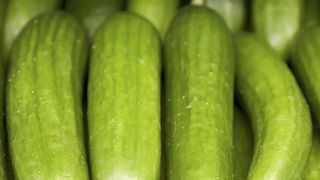 შუშა კიტრი პლანტა 500გრ