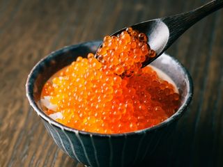 წითელი ხიზილალა ორაგულის 140 გრ