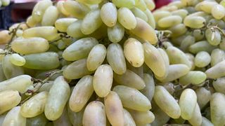 ყურძენი დამსკი იმპორტი 500გრ