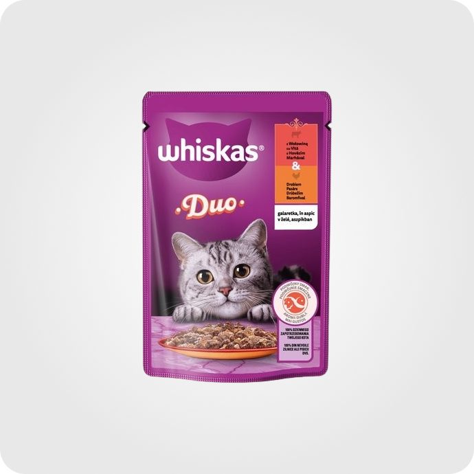 სველი საკვები კატის