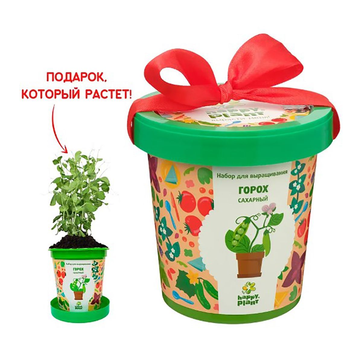 Естествознание, наука