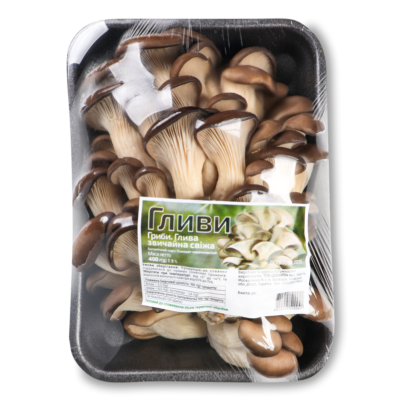 Гриби свіжі