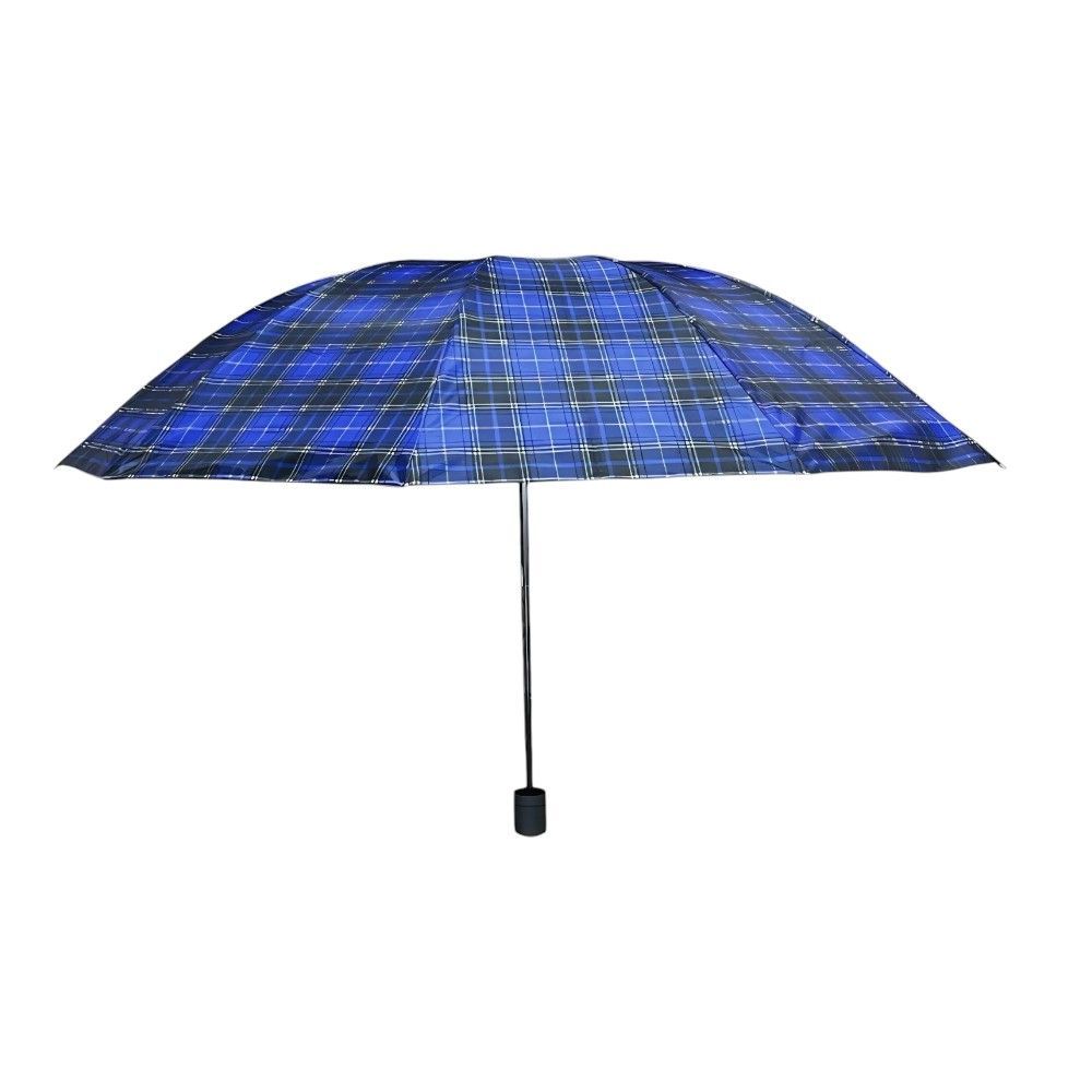 Парасольки та дощовики.