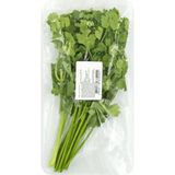 Кінза свіжа 40 г