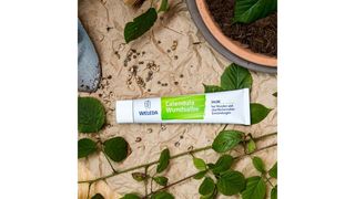 გულყვითელას მალამო 25 გ