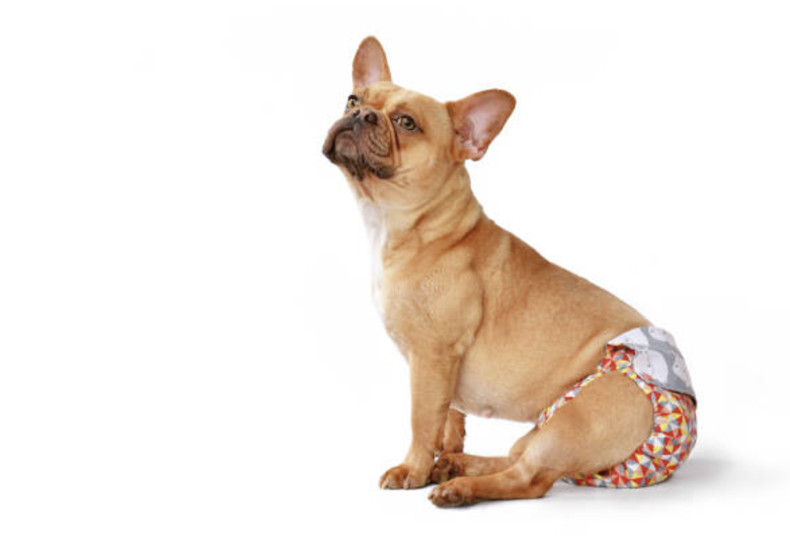 Пеленки и подгузники.