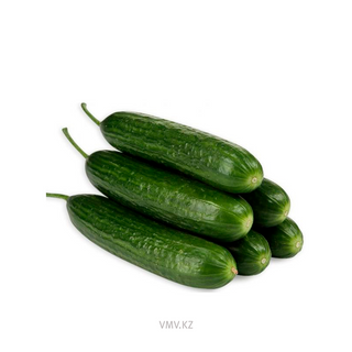 ОГУРЦЫ РАВА ВЕС-2198521