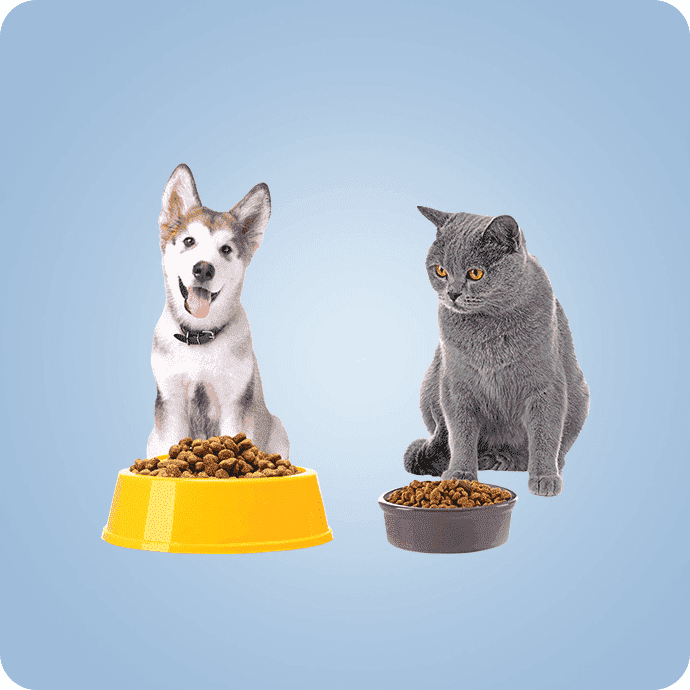 ცხოველთა კვება და მოვლა