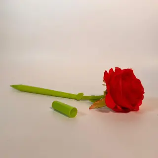 კალმაი ვარდი წითელი