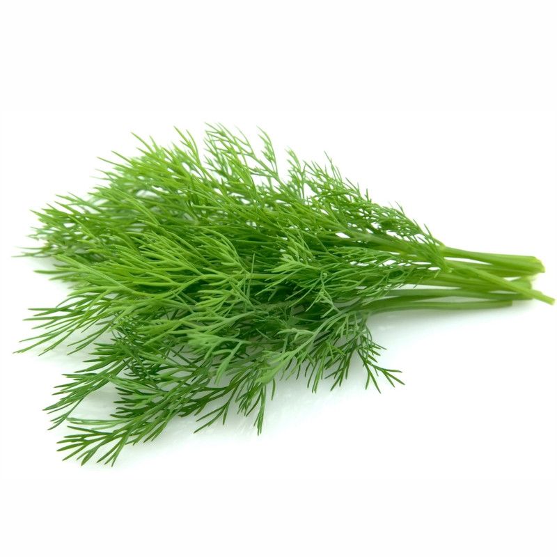 Зелень и салаты