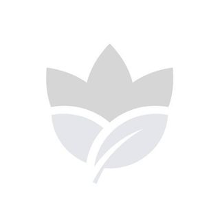 Чай Origin 1000 та 1 ніч листовий купаж чорного та зеленого з добавками ароматизований вищий сорт 80 г