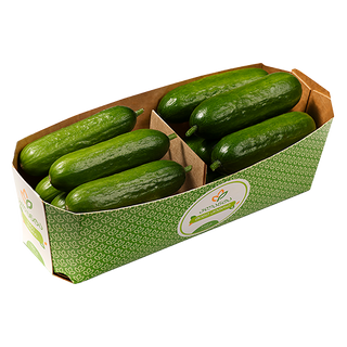 პლანტა - მინი კიტრი 550 გრ