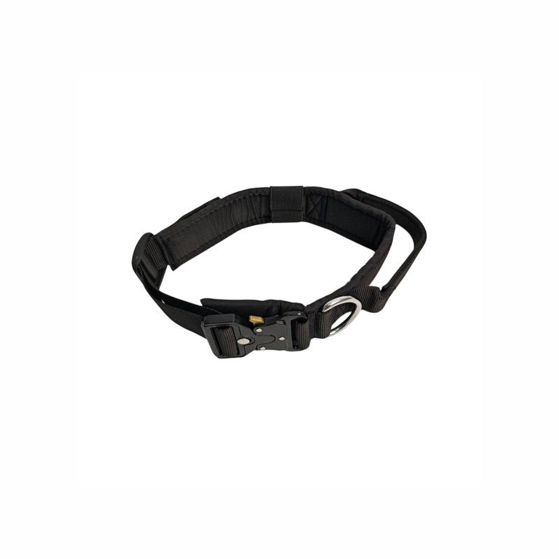 ძაღლის საყელოები და საბელები