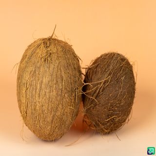 ქოქოსი 1ც