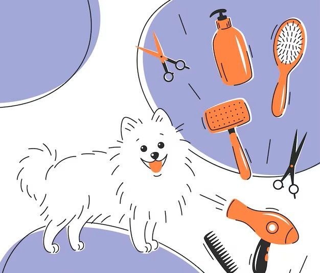 Уход за животными