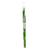 Цибуля зелена свіжа 40 г