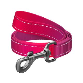 Повідець для собак нейлоновий WAUDOG Nylon Mono світловідбивний S Ш 15 мм Дов 122 см рожевий