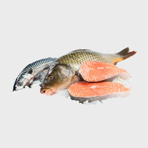 Рыбная продукция