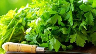 ოხრახუში 100გრ