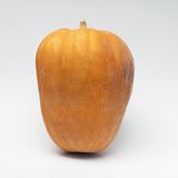 გოგრა ქართული / 5000 გრ