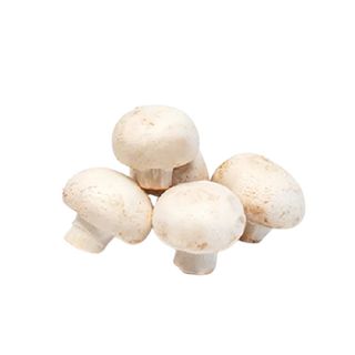 ქამა სოკო 1 ხარისხი  ასაწონი / 500 გრ