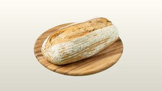 წერის ჭვავნარევი