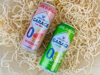 Garage fun zero Grapefruit 0,5л