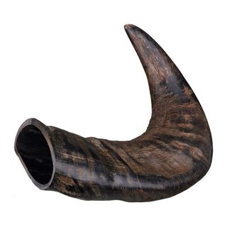 Trixie Ріг буйвола середній для собак, (1 шт.)