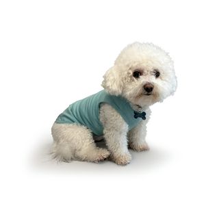 Борцівка для собак PET FUN блакитна S