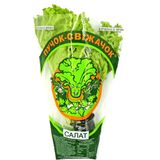 Салат Пучок-Свіжачок свіжий