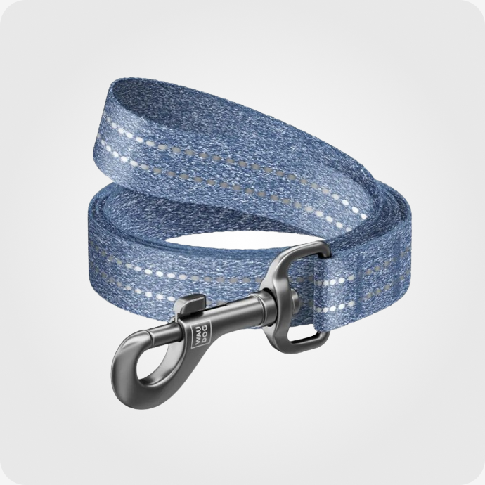 ძაღლის საყელოები და საბელები