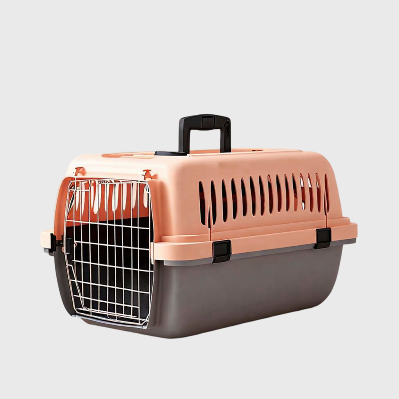 გადამყვანები