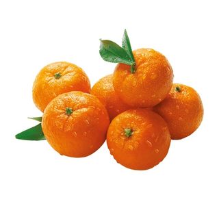 МАНДАРИН МАРОККО