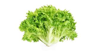 სალათის ფოთოლი 500გრ