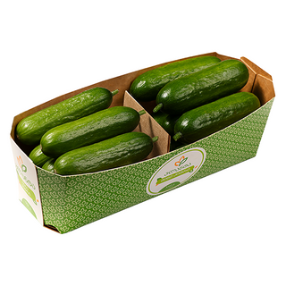 მინი კიტრი 550 გრ - პლანტა