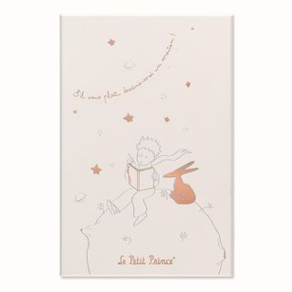 Набір Moleskine Le Petit Prince