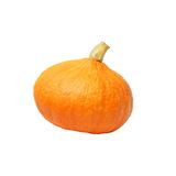 გოგრა წითელი ქართული / 5000 გრ