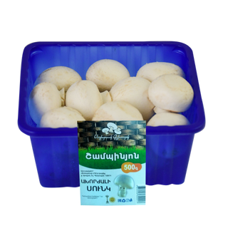 Շամպինիոն 0.5կգ