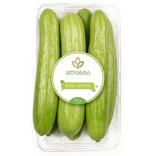 შუშა კიტრი 900 გრ - პლანტა