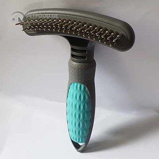 ძაღლის ჰიგიენა