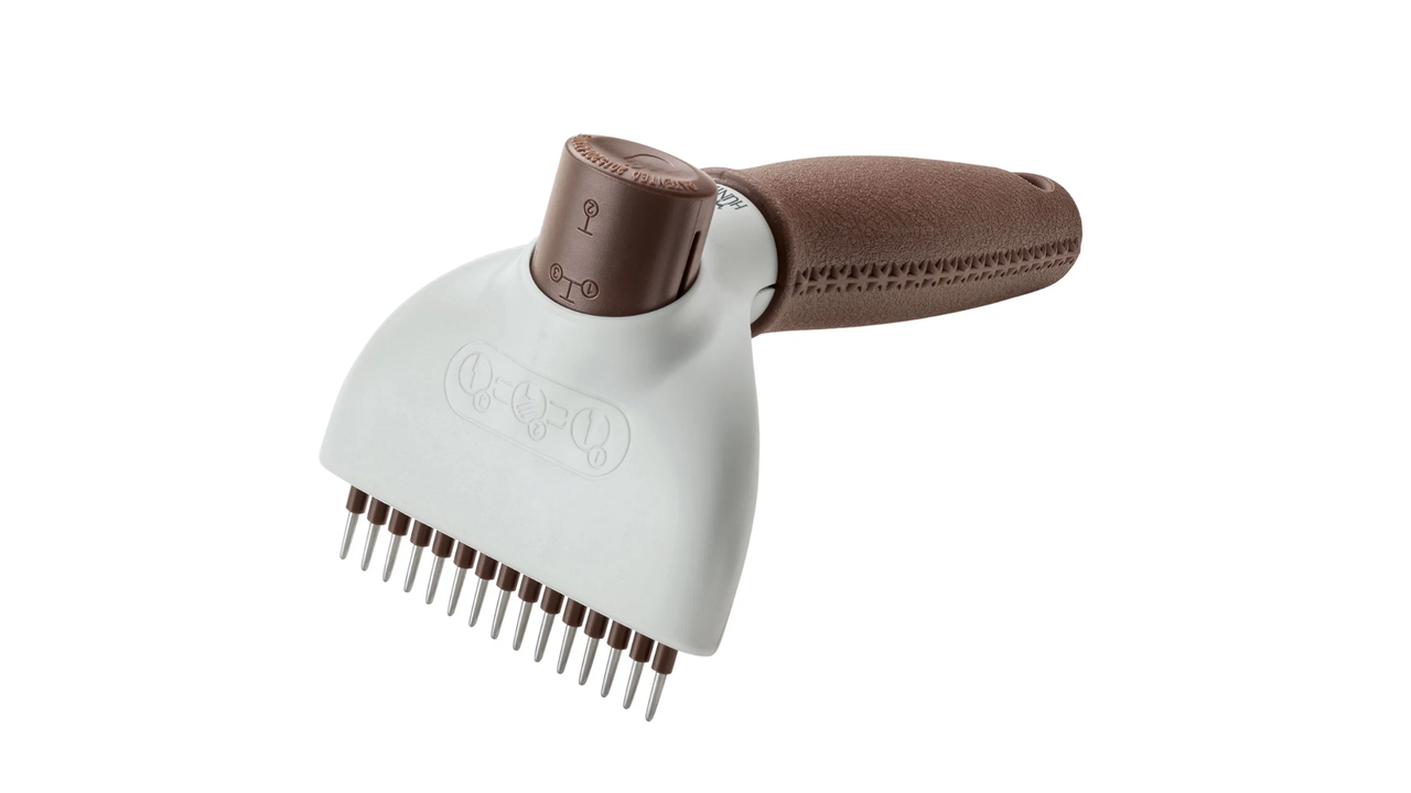 ძაღლის ჰიგიენა