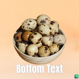 მწყერის კვერცხი 1pc