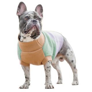 Светр в язаний Rich для собак такса M