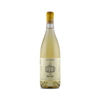 M.D. Winery Rkatsiteli oak 2022 Dante - მ.დ.ვაინერი რქაწითელი კასრი 2022 დანტე