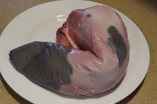 საქონლის ენა 1 კგ